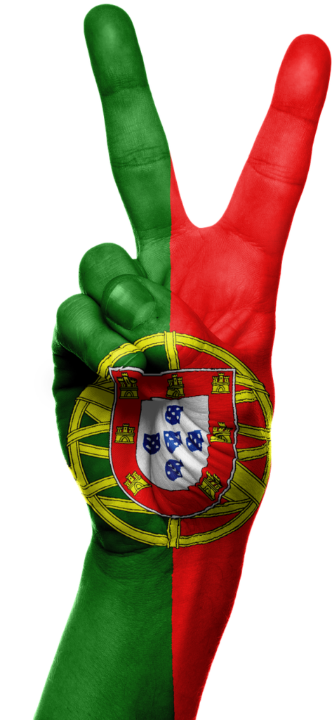 portugal, flag, hand-983420.jpg
